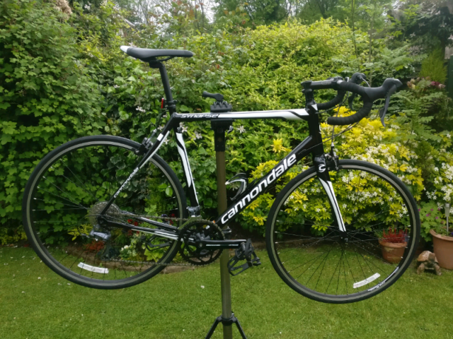 cannondale synapse claris 2017